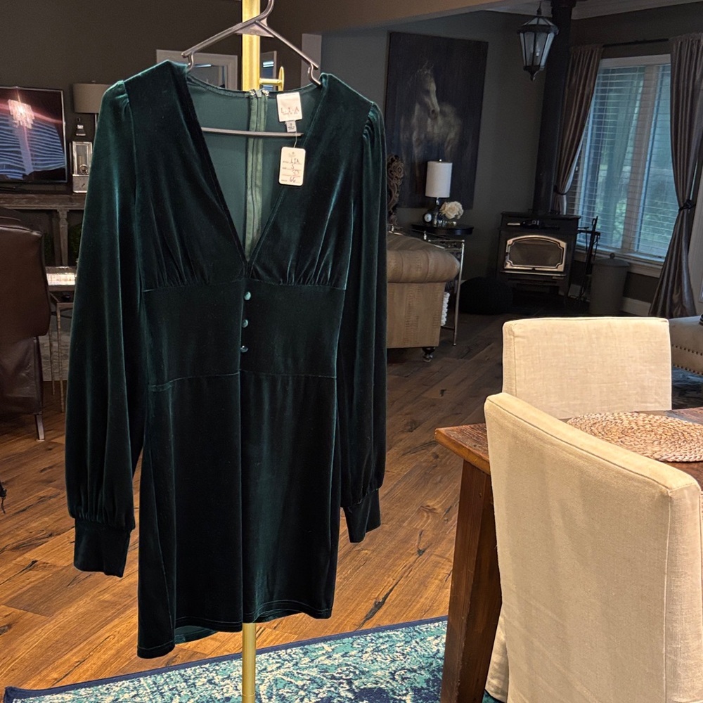 Elegant Velvet Green Dress